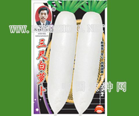 三尺白萝卜